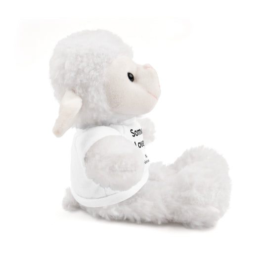 Stuffed Animal with T-Shirt - Someone Loves You
