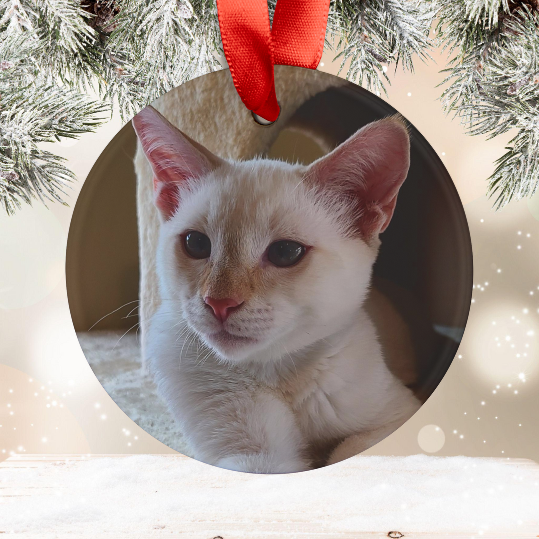 Pet Photo Christmas Ornaments: Cherish Your Furry Friends this Holiday Season