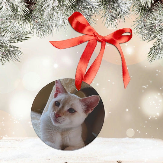 Pet Ornament - Photo Christmas Ornament with Ribbon