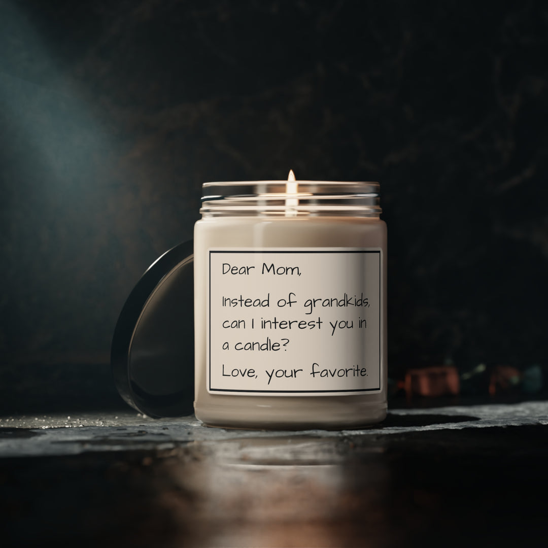Funny Gift for Mom, Unique Christmas Gifts - Instead of Grandkids