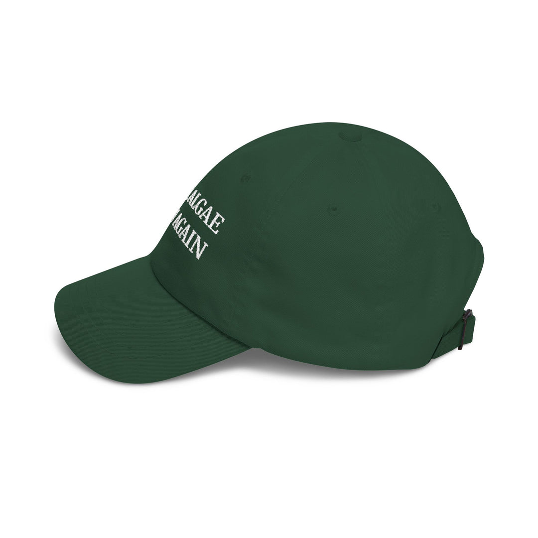 Make Algae Grow Again Dad Cap | Embroidered Green Hat